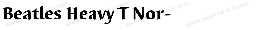 Beatles Heavy T Nor字体转换